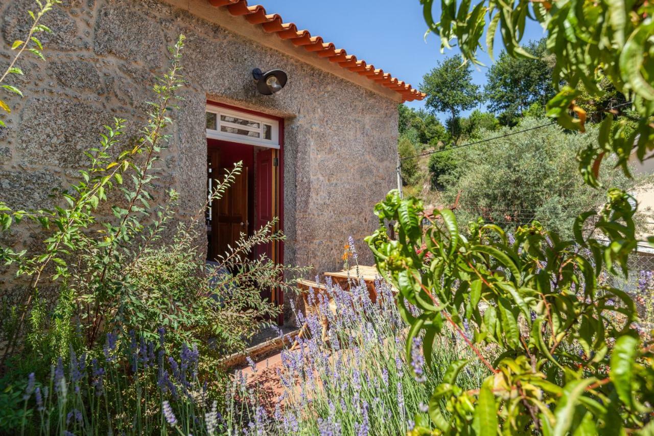 Casa do Eido - sustainable living&nature experiences Gerês Exterior foto